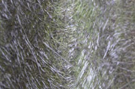 Blakesley fibreglass roof work